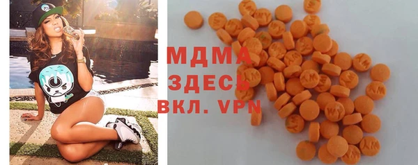 индика Алексин