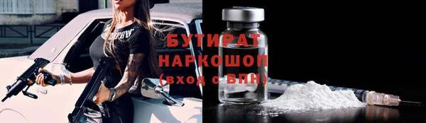 индика Алексин