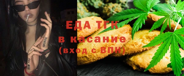 индика Алексин