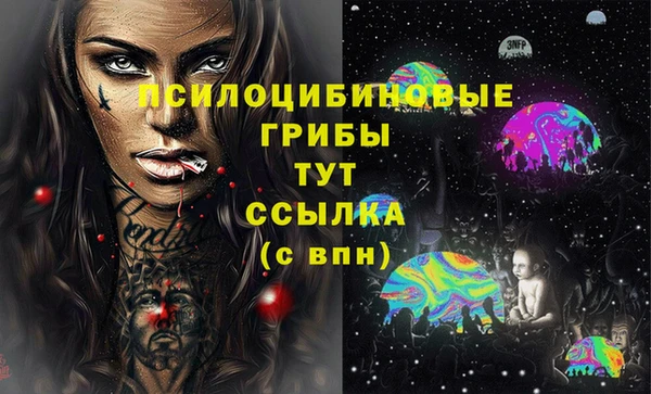 индика Алексин