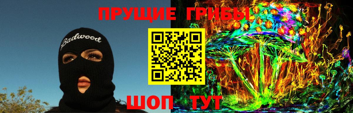 Псилоцибиновые грибы мицелий Геленджик
