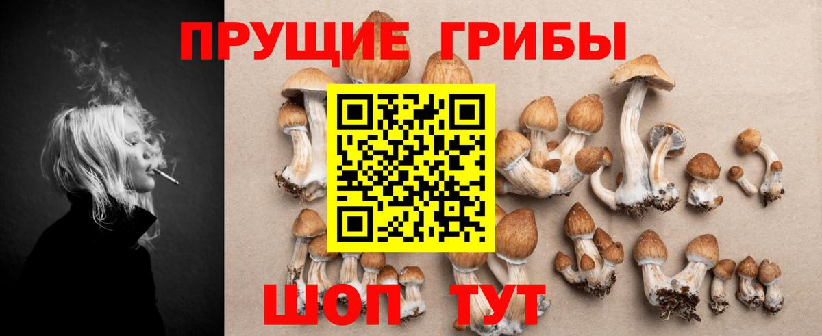 Галлюциногенные грибы GOLDEN TEACHER  Вход с VPN  Геленджик  Галлюциногенные грибы Cubensis 